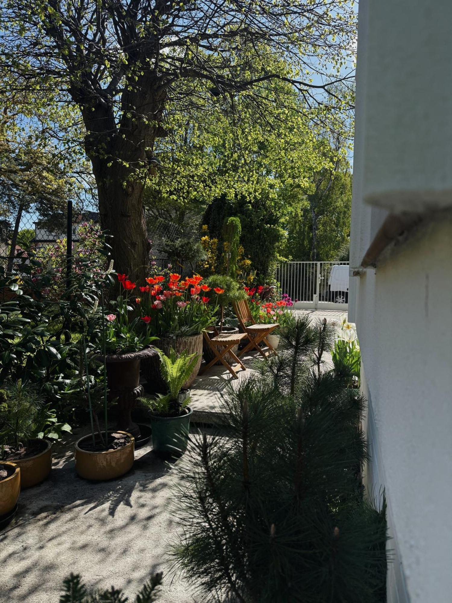 Powiew - B&B Pensjonat Noclegi Swinoujscie - Unterkunft Swinemuende - Guesthouse Tennis Garden Breakfast At Baltic Sea Kültér fotó