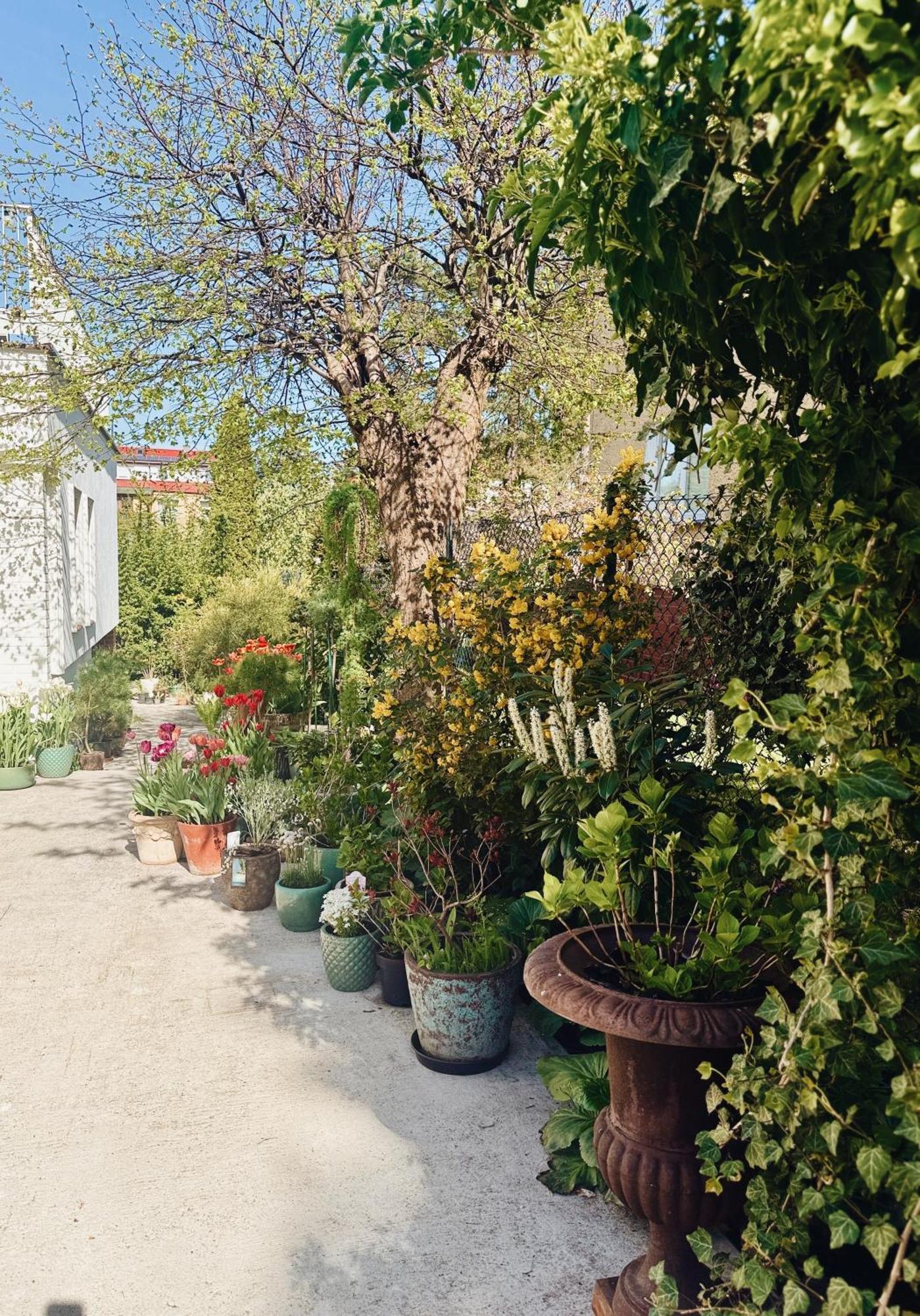 Powiew - B&B Pensjonat Noclegi Swinoujscie - Unterkunft Swinemuende - Guesthouse Tennis Garden Breakfast At Baltic Sea Kültér fotó